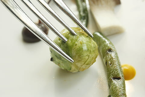 mini repollo, repollo, ensalada, deco, comida, tenedor, restaurante, cocina, plato, comiendo fuera, de cerca, nadie, foto de estudio, alimentación saludable, adentro, frescura, Fondo blanco, día, comida y bebida, color verde, naturaleza muerta, vegetal, bienestar, centrarse en primer plano, enfoque selectivo, utensilio de cocina, utensilio para comer, equipo doméstico, Fruta, 2K, CC0, dominio público, libre de derechos