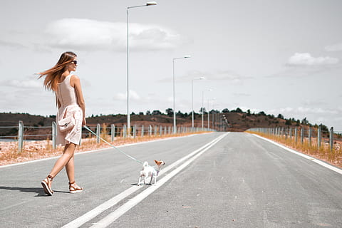 dona, blanc, vestit sense mànigues, celebració, arnès, cadell, caminar, carretera asfaltada, durant el dia, foto, portar, rosa, vestit, corretja de gossos, gos blanc, corretja, a l'aire lliure, dones, carretera, una persona, ètnia caucàsica, adult, gent, dia, només adults, imatge en color, femelles, carrer, còpia espai, adult jove, dones joves, una sola dona, moviment, moviment borrós, un animal, nacional, animals domèstics, mascotes, gos, transport, longitud completa, caní, mamífer, cel, estils de vida, cabell, ciutat, pentinat, petit, emoció positiva, 5K, CC0, domini públic, lliure de regalies
