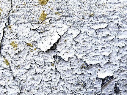 fiocco, parete, struttura, vecchio, dipingere, sbucciare, gesso, vecchia vernice, rotto, intemperie, colore, sfondo, screpolato, strappato, la superficie diventa friabile, facciata, vicino, macro, bianca, inferno, grigio, fondo, rivestito, chipping, patata fritta, sfondi, astratto, strutturato, modello, ruvido, avvicinamento, sporco, danneggiato, natura, fotogramma intero, nessuno, giorno, struttura costruita, all'aperto, architettura, caratteristica della parete, crescita, pianta, pelato, lichene, calcestruzzo, 2K, CC0, dominio pubblico, privo di copyright