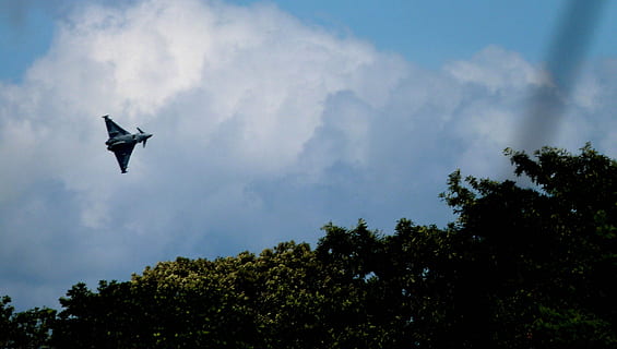 tyfon, fly, jet, luft, himmel, Jet, luft, flyve, flyvningen, kraft, militær, Sky, raf, fighter, luft show, flyvende, høj, Eurofighter, hastighed, Skærm, luftfart, strøm, blå, krig, atmosfære, vejr, fugl, spredte vinger, Midt i luften, et dyr, dyr i naturen, træ, sky - himmel, lav vinkel visning, hvirveldyr, plante, dyreliv, dyr, dyre temaer, natur, silhuet, ingen mennesker, skønhed i naturen, udendørs, 4K, CC0, offentligt domæne, royaltyfrie