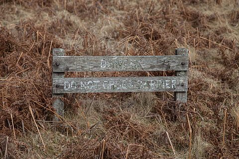 warning, board, border, attention, caution, danger, warning sign, nature, wood - material, no people, empty, bench, communication, plant, grass, text, day, field, old, seat, sign, metal, land, outdoors, absence, close-up, information, park bench, 5K, CC0, public domain, royalty free