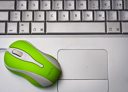 verde, alb, logilink, legat cu frânghie, laptop, caiet, calculator, muncă, tastatură, birou, intrare, la locul de muncă, șoarece, părăsi, telefon, Atingeți, măr, text, biroul de acasă, datailaufnahme, fotografie macro, închide, macro, hardware-, tastatura, tehnologie, mouse-ul computerului, Internet, PC, echipament, Afaceri, echipamente de calcul, comunicare, conexiune, tehnologia fără fir, computere, Culoarea verde, nici o persoana, cheia computerului, în interior, a închide, western script, rețea de calculatoare, natură moartă, apasa butonul, 4K, CC0, domeniu public, fără drepturi de autor