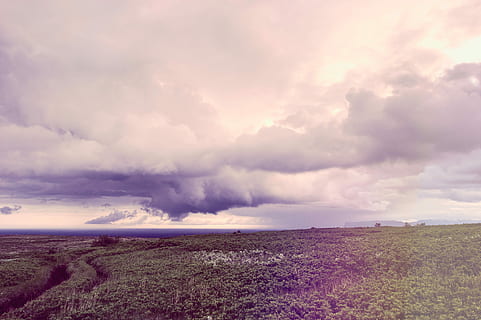 aéreo, fotografía, verde, arboles, blanco, nublado, cielo, tiempo de día, fotografía aérea, naturaleza, nube - cielo, paisaje, escena rural, scenics, al aire libre, paisaje de nubes, nadie, belleza en la naturaleza, azul, clima, campo, escena no urbana, puesta de sol, verano, púrpura, cielo dramático, paisajes - naturaleza, escena tranquila, agua, ambiente, horizonte, tranquilidad, tierra, mar, día, horizonte sobre el agua, poder en la naturaleza, 5K, CC0, dominio público, libre de derechos