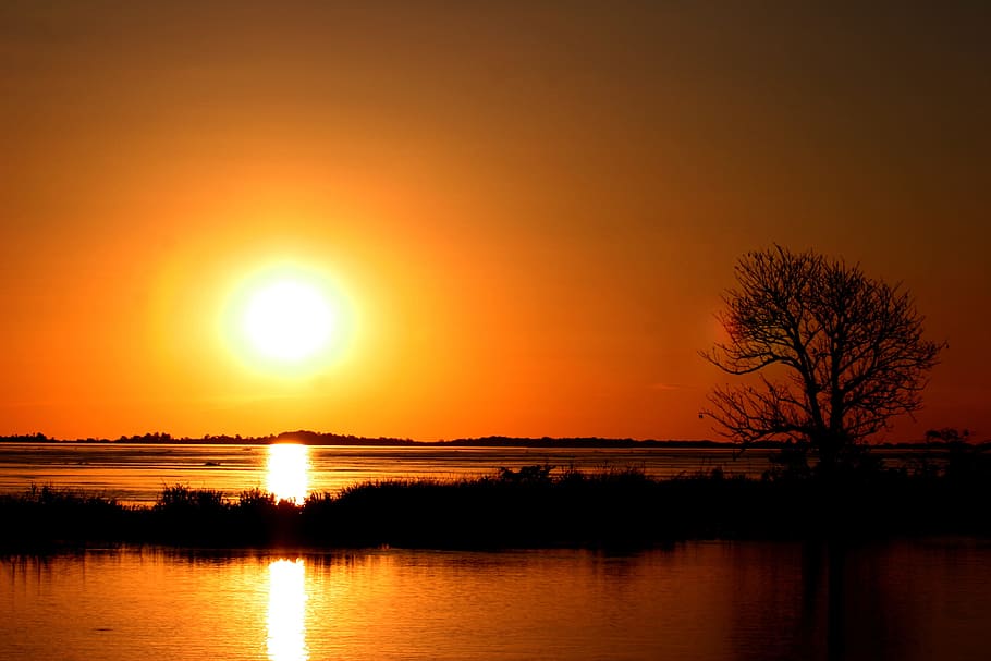 silueta fotografie jezero, strom, západ slunce, silueta, fotografování, jezero, amazonas, Amazonská řeka, Brazílie, odraz, slunce, scén, Příroda, voda, nebe, krása v přírodě, scenics - příroda, klid, klidné scény, oranžová barva, slunečního světla, rostlina, idylický, nikdo, mimoměstské scény, venku, romantické nebe, Jasný, 2K