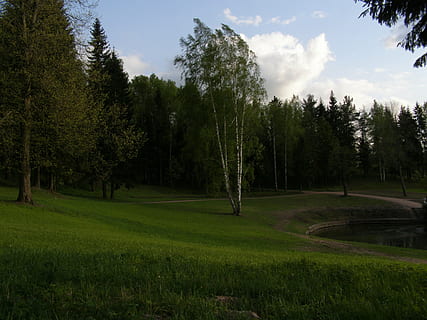tarda, primavera, parc, arbres, cel, riu verd de l'arbre, planta, arbre, color verd, tranquil·litat, bellesa a la natura, creixement, escena tranquil·la, terra, escenics - natura, herba, naturalesa, paisatge, cap gent, núvol - cel, camp, dia, escena no urbana, medi ambient, a l'aire lliure, 2K, CC0, domini públic, lliure de regalies