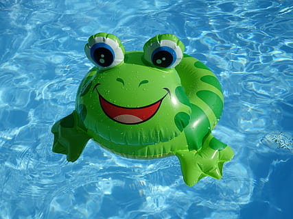 Grün, Frosch-Pool, schweben, Frosch, Kunststoff, Sommer-, Spielzeuge, Schwimmbad, Wasser, Tierdarstellung, Darstellung, schwimmend, auf dem Wasser schwimmen, Natur, keine Leute, Ufergegend, Blau, Schwimmen, Tag, Tier, Spielzeug, Tierthemen, High Angle View, grüne Farbe, Nahansicht, aufblasbar, draußen, türkisfarben, Brillen, 4K, CC0, gemeinfrei, lizenzfrei