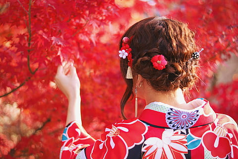 žena, Červené, bílý, květinový, yukata, dojemný, list, během dne, žena v červené barvě, červený list, ženy, venku, jedna osoba, žen, Příroda, lidé, krása, móda, Krásná, podzim, mladého dospělého, dospělý, štěstí, tanec, výkon, umělecká kultura a zábava, účes, dítě, zpětný pohled, vlasy, květ, hnědé vlasy, dětství, den, střela do hlavy, portrét, oblečení, rostlina, kvetoucí rostlina, na sobě květiny, květinový vzor, 1080P, CC0, veřejná doména, bez autorských práv