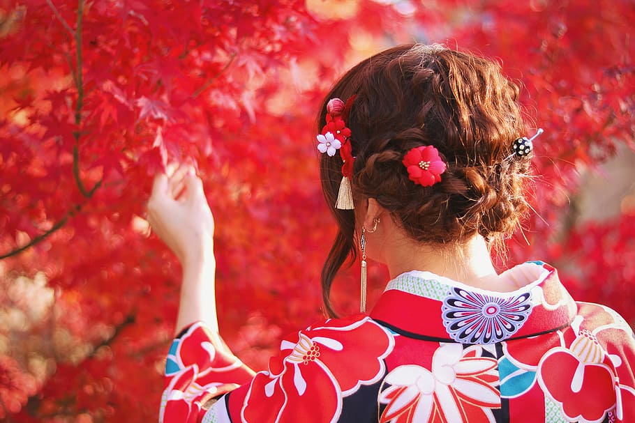 dona, vermell, blanc, floral, yukata, tocar, full, durant el dia, dona de color vermell, fulla vermella, dones, a l'aire lliure, una persona, femelles, naturalesa, gent, bellesa, moda, bonic, tardor, adult jove, adult, felicitat, ballant, rendiment, cultura i entreteniment artístic, pentinat, nen, vista del darrere, cabell, flor, cabell castany, infància, dia, tirada al cap, retrat, roba, planta, planta amb flors, portar flors, motiu floral, 1080P