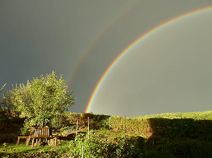 pioggia, arcobaleno, Doppio, natura, albero, pianta, bellezza nella natura, la tranquillità, scenics - natura, doppio arcobaleno, scena tranquilla, multicolore, idilliaco, crescita, paesaggio, nessuno, terra, colore verde, ambiente, campo, scena non urbana, all'aperto, 2K, CC0, dominio pubblico, privo di copyright