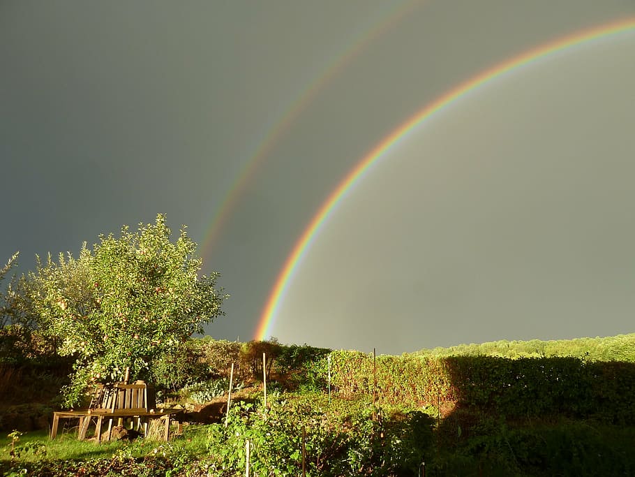 pluja, arc de Sant Martí, doble, naturalesa, arbre, planta, bellesa a la natura, tranquil·litat, escenics - natura, doble arc de Sant Martí, escena tranquil·la, multicolor, idíl·lic, creixement, paisatge, cap gent, terra, color verd, medi ambient, camp, escena no urbana, a l'aire lliure, 2K