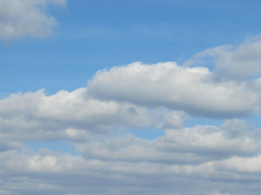 mraky, nebe, stratocumulus cloud, počasí, mrak - nebe, krása v přírodě, klid, scenics - příroda, modrý, nízký úhel pohledu, nikdo, Příroda, klidné scény, den, pozadí, bílá barva, venku, idylický, celý rám, mimoměstské scény, slunečního světla, scéna s oblaky, meteorologie, 4K