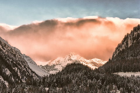 pfirsichfarbene Wolke, oben, Berg, schneebedeckter Berg, Baum, Wald, Wolke, Szenen - Natur, Schnee, Umgebung, wolke - himmel, Gebirge, Himmel, Landschaft, Winter, kalte Temperatur, Schönheit in der Natur, Natur, Pflanze, keine Leute, Land, ruhige Szene, Gipfel, Ruhe, Kiefer, draußen, Nadelbaum, Kiefernwald, 2K, CC0, gemeinfrei, lizenzfrei