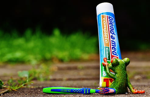 Zahnpasta, Frosch, Zahnbürste, Zähne putzen, Hygiene, sauber, Zahn, Zahnbürstenkopf, Bürste, Zahnpflege, Gesundheit, Zahnhygiene, Sauberkeit, Bürstenkopf, Pflege, lustig, süß, Fokus auf den Vordergrund, grüne Farbe, keine Leute, Text, Spielzeug, Tag, Nahansicht, Natur, Darstellung, westliche Schrift, draußen, Kommunikation, selektiver Fokus, Kunst und Handwerk, Land, Feld, Park, Blau, Tierdarstellung, Park - menschgemachter Raum, 5K, CC0, gemeinfrei, lizenzfrei
