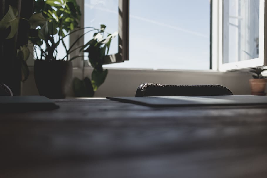 Brun, træ-, bord, top, grønt blad, planter, vindue, skrivebord, lys, plante, indendørs, ingen mennesker, selektiv fokusering, dag, natur, computer, kontor, teknologi, forretning, hjem interiør, fravær, trådløs teknologi, overflade niveau, bærbar, møbel, forbindelse, stueplante, tastatur, 5K