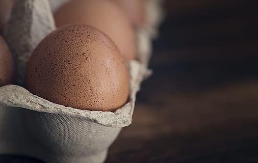 brown, eggs, tray, egg, hen's egg, raw egg, eggshell, egg box, egg packaging, brown egg, close, food, nutrition, food and drink, freshness, wellbeing, close-up, healthy eating, human body part, focus on foreground, people, animal egg, still life, indoors, raw food, organic, selective focus, fragility, white color, 2K, CC0, public domain, royalty free
