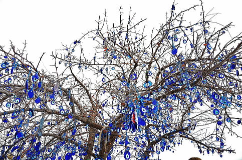 arbre, hivern, cel, macro, pedra blava, desitjos, esperança, esperances, vista d’angle baix, planta, branca, arbre nu, cap gent, naturalesa, blau, dia, cel clar, bellesa a la natura, neu, temperatura de fred, creixement, a l'aire lliure, celebració, decoració, 4K, CC0, domini públic, lliure de regalies