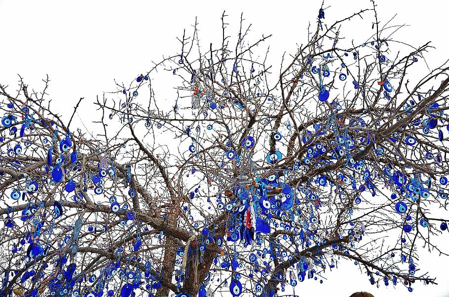 arbre, hivern, cel, macro, pedra blava, desitjos, esperança, esperances, vista d’angle baix, planta, branca, arbre nu, cap gent, naturalesa, blau, dia, cel clar, bellesa a la natura, neu, temperatura de fred, creixement, a l'aire lliure, celebració, decoració, 4K