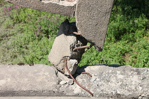bars, bridge, broken, cement, iron, old, reinforced, rusty, steel, industries, plant, nature, no people, day, focus on foreground, tree, solid, lizard, animal themes, outdoors, animal, rock - object, close-up, rock, animal wildlife, sunlight, one animal, reptile, growth, green color, iguana, poisonous, 4K, CC0, public domain, royalty free