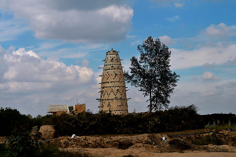torre degli uccelli, Egitto, Torre, cielo, struttura costruita, nuvola - cielo, architettura, albero, pianta, esterno dell'edificio, natura, Inquadratura dal basso, costruzione, nessuno, storia, giorno, campo, terra, il passato, guida, alto - alto, all'aperto, antica civiltà, 2K, CC0, dominio pubblico, privo di copyright