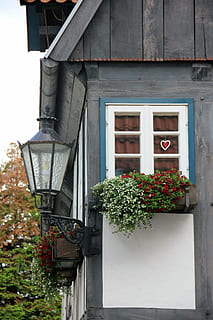 lucerna, budova, vazník, okno, lemgo, rostlina, architektura, stavba, exteriér budovy, kvetoucí rostlina, květ, růst, nikdo, Příroda, den, Dům, venku, rezidenční čtvrti, hrnkové rostliny, nízký úhel pohledu, zelená barva, dveře, květináč, 5K, CC0, veřejná doména, bez autorských práv