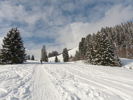 žemas, kampinė fotografija, pušys, balta, mėlyna, dangus, žiemą, žiemos, žiemos magija, sniegas, pėdsakų, sniego takeliai, pėdsakai, žiemos kelionė, sniego kelionė, sniego batų pėsčiomis, daugiau, gražus oras, debesys, žygiai, laisvalaikis, kalnai, pobūdį, miškas, medis, kraštovaizdį, kalnas, lauke, šalta temperatūra, šalčio, sezoną, scenos, augalų, grožis gamtoje, debesis - dangus, vaizdai - gamta, dieną, ramioje scenoje, balta spalva, žemės, ramybė, danga, nėra žmonių, ne miesto scenoje, snowcapped kalnas, miltelių sniegas, 4K, CC0, Viešasis domenas, nemokamai