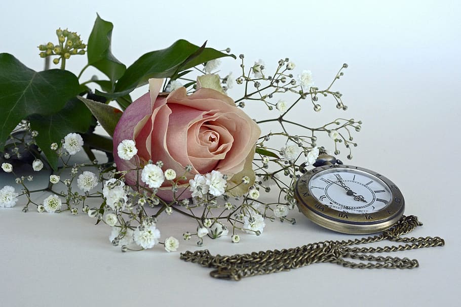 rosa, butxaca rodona de color platejat, veure, flor, florir, flor de roses, gypsophila, romàntic, amor, fragància, planta, bonic, flora, blanc, naturalesa, pètals, pètals de rosa, rellotge de butxaca, temps de, temps, rellotge, punter, nostàlgia, antiguitat, hores, minuts, temps indicatiu, aspecte retro, collaret de rellotges, tir de l'estudi, casament, bouquet, fragilitat, pètal, cap de flor, celebració, cap gent, planta amb flors, bellesa a la natura, vulnerabilitat, frescor, arranjament floral, color rosa, a l'interior, inflorescència, Ram de flors, 4K