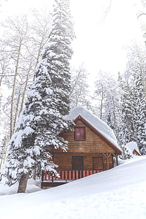 hus, vinter, sne, is, isbjerg, træer, planter, kold, kold temperatur, træ, arkitektur, bygget struktur, bygning udvendig, plante, bygning, natur, dækker, ingen mennesker, jord, dag, himmel, skønhed i naturen, bjælkehytte, hytte, udendørs, sommerhus, sner, snedækket bjerg, chalet, kabine, 5K, CC0, offentligt domæne, royaltyfrie