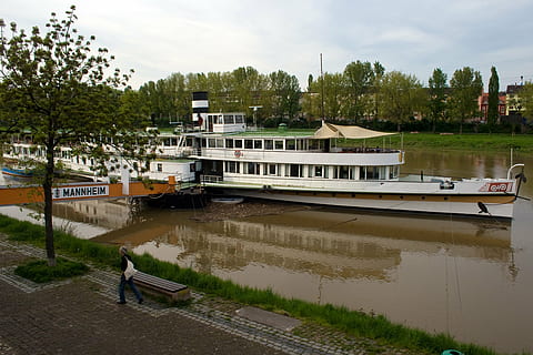 mannheim, neckar, ship, water, nautical vessel, transportation, mode of transportation, architecture, plant, tree, real people, built structure, building exterior, one person, sky, nature, day, lifestyles, outdoors, men, full length, canal, passenger craft, 4K, CC0, public domain, royalty free