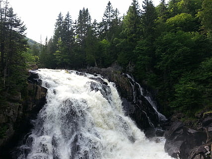 outono, floresta, rio, cascata, verão, Parque Nacional, natureza, árvore, ninguém, scenics, beleza na natureza, plantar, scenics - natureza, agua, movimento, água corrente, terra, Rocha, Exposição longa, crescimento, sólido, rock - objeto, cena não urbana, dia, fluindo, ao ar livre, poder na natureza, 2K, CC0, domínio público, royalty free