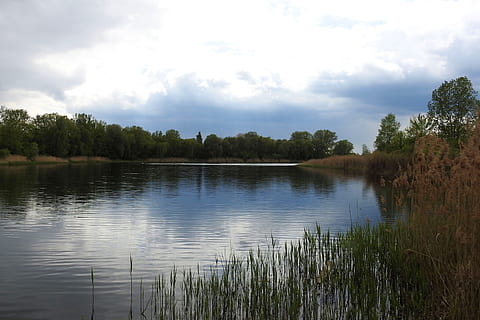 landschap, hemel, schemer, reflectie, wateren, natuur, meer, wolken, overdekte lucht, water, fabriek, boom, wolk - lucht, kalmte, rustige scène, scenics - natuur, schoonheid in de natuur, geen mensen, dag, gras, niet-stedelijke scène, Bos, buitenshuis, moeras, 4K, CC0, publiek domein, royaltyvrij