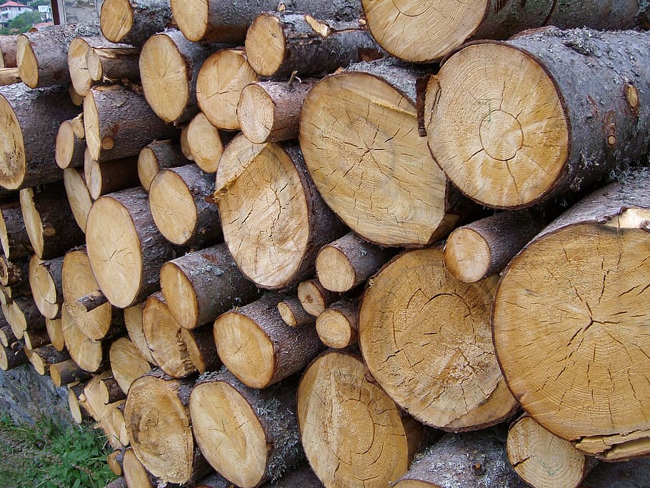træ, tømmer, logning, materiale, hårdttræ, struktur, Brun, kulisse, egetræ, træværk, fyrretræ, træbearbejdning, stak, log, stor gruppe af objekter, skovrydning, Skov, Brænde, tømmerindustrien, overflod, fuld ramme, træ - materiale, brændstof og elproduktion, fossilt brændstof, baggrunde, miljøspørgsmål, natur, ingen mennesker, udendørs, brændestablen, hakket, 2K
